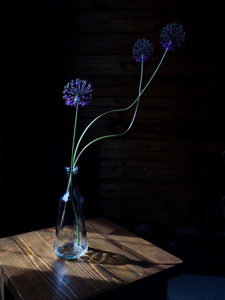 Photograph by Елизавета Байкова