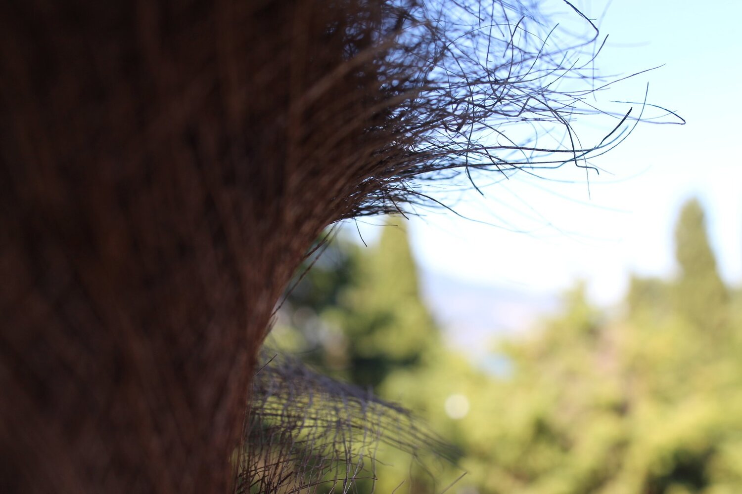 Photo #4837012