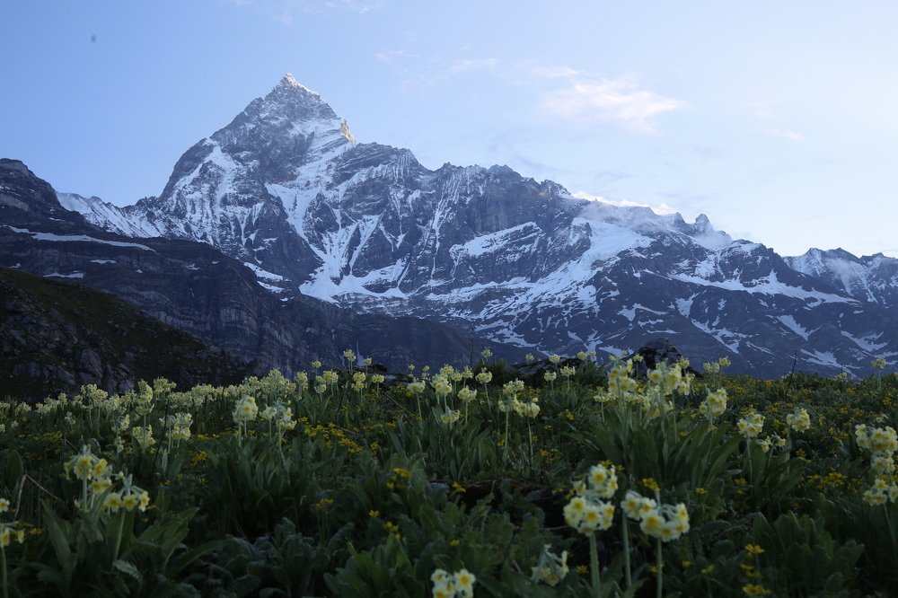 Matterhorn of Nepal.