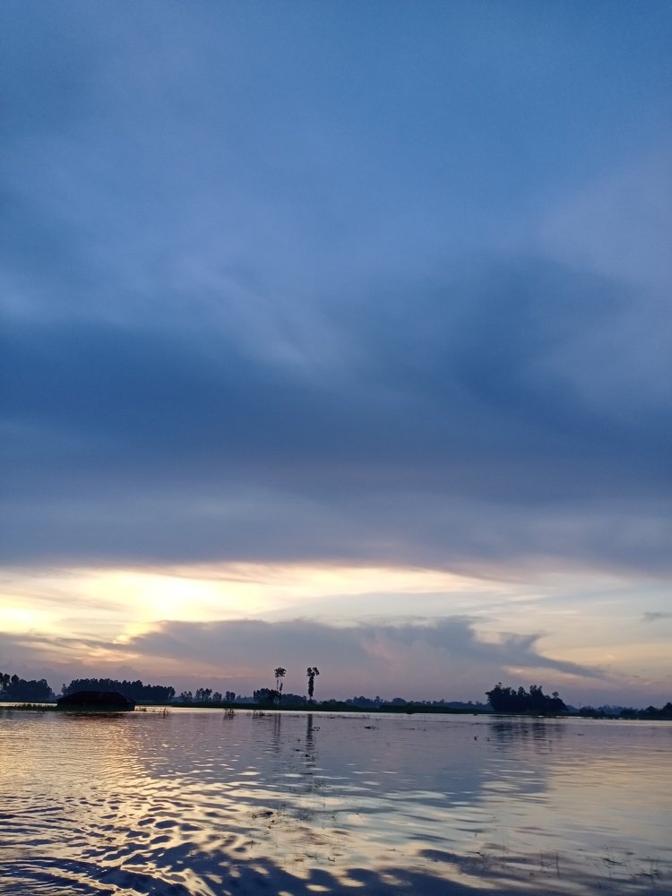 Photo #4837030