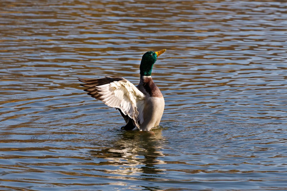 Photograph by Сергей Попов