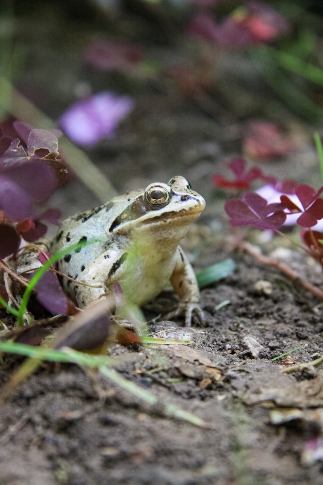 Photograph by Жанна Цветкова