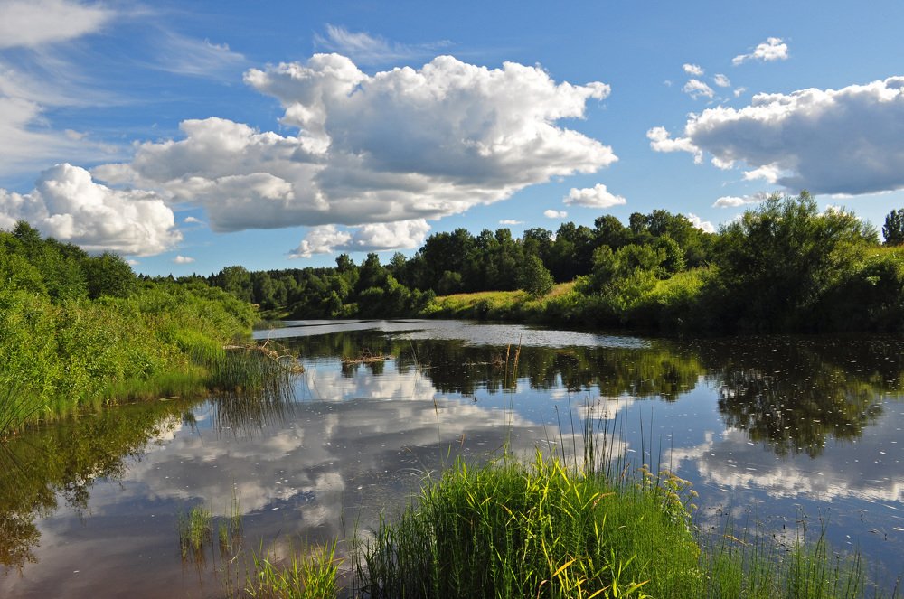 Фотография автора Наталья Липовская