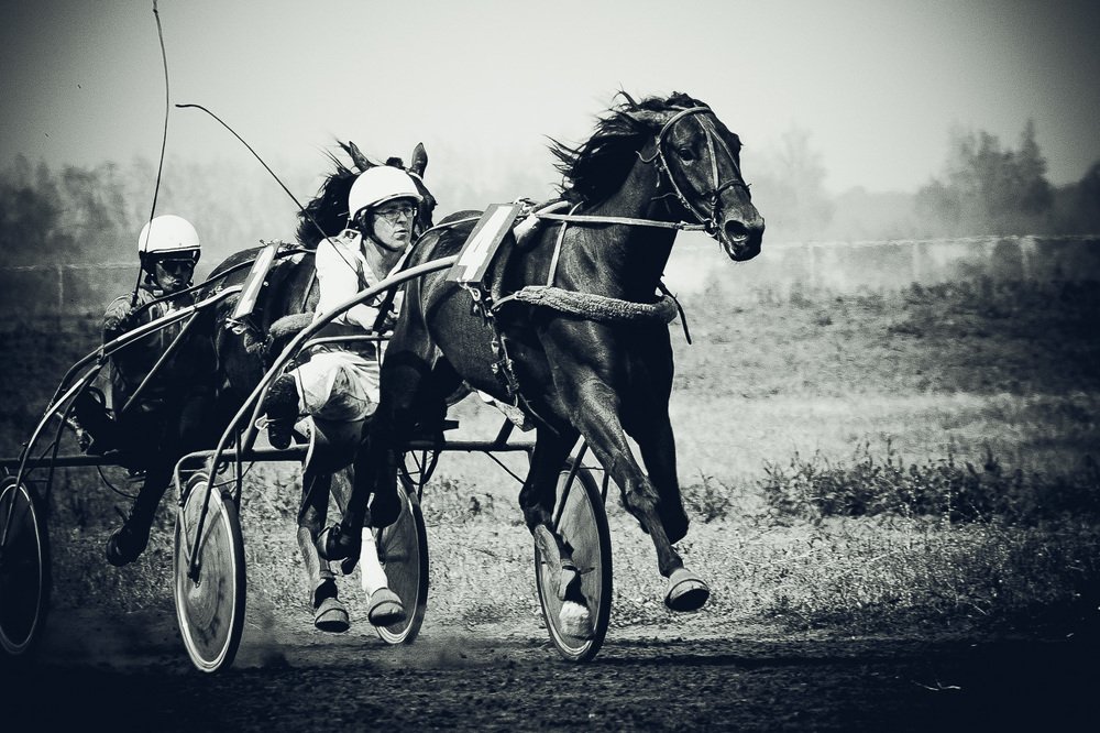 Photograph by Сергей Попов