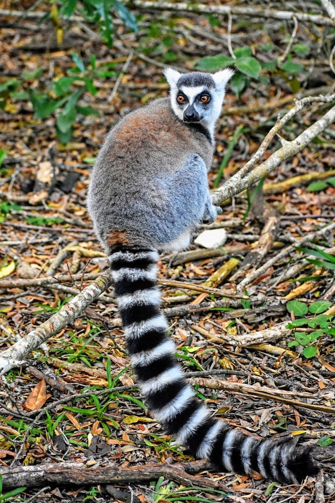 Photograph by Kriti Aggarwal