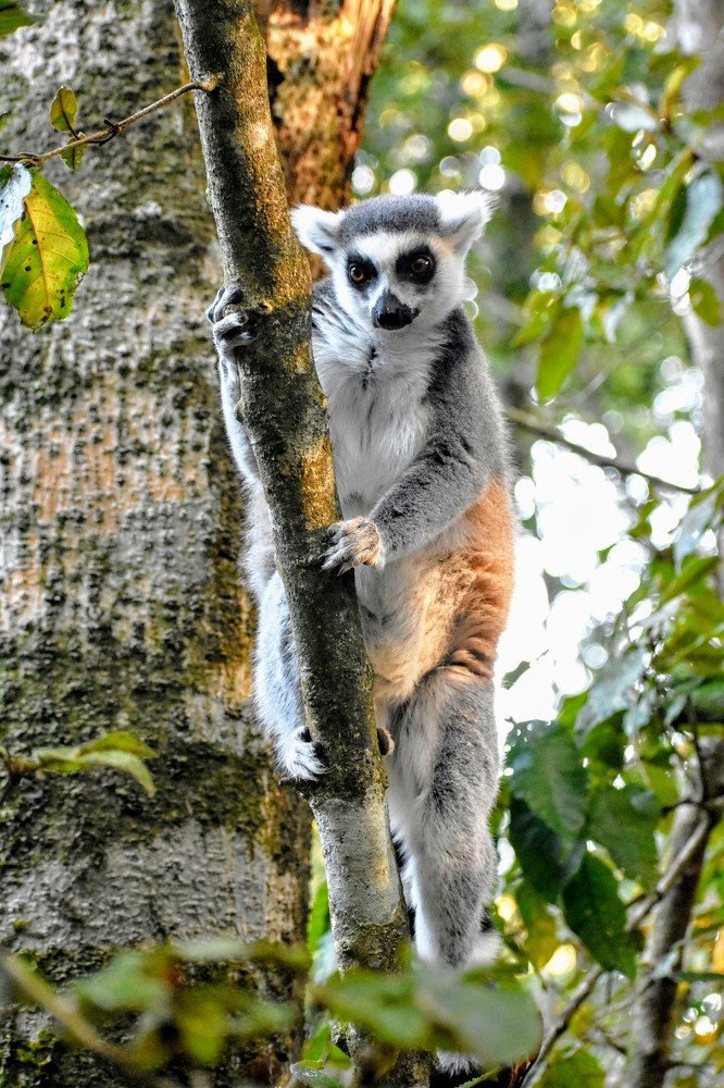 Photograph by Kriti Aggarwal