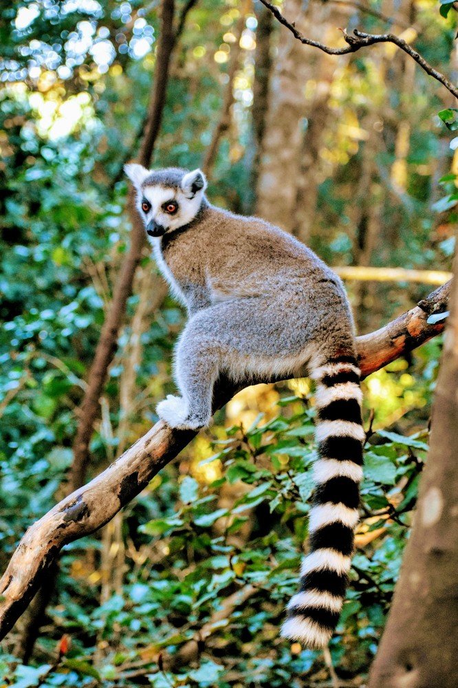 Photograph by Kriti Aggarwal