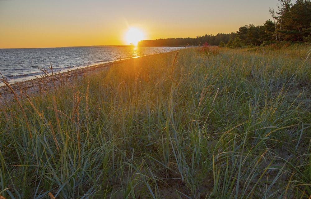 Photograph by Наталья Катюжанская