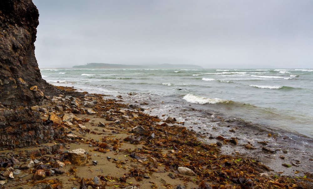 Туманный берег...