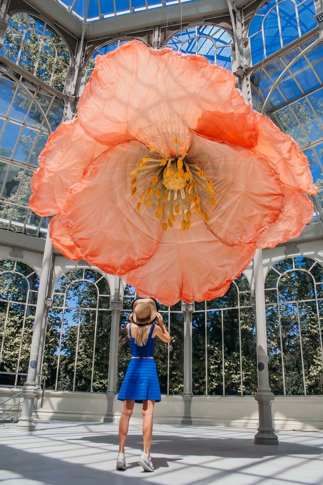 Photograph by Маргарита Папченко