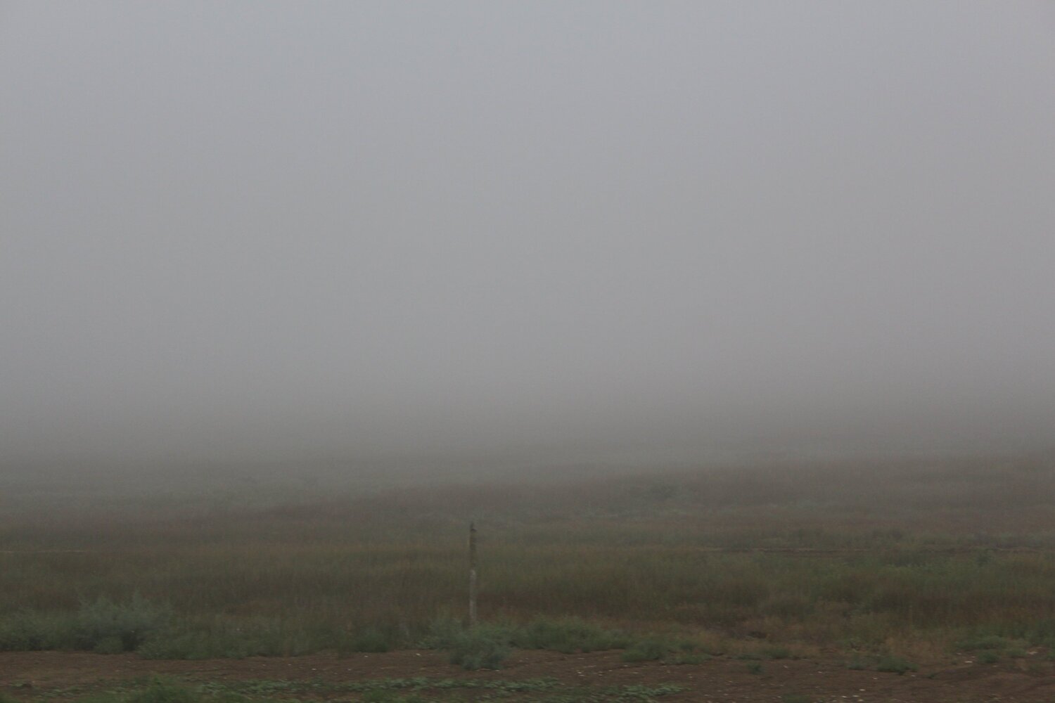 Photo #4837328