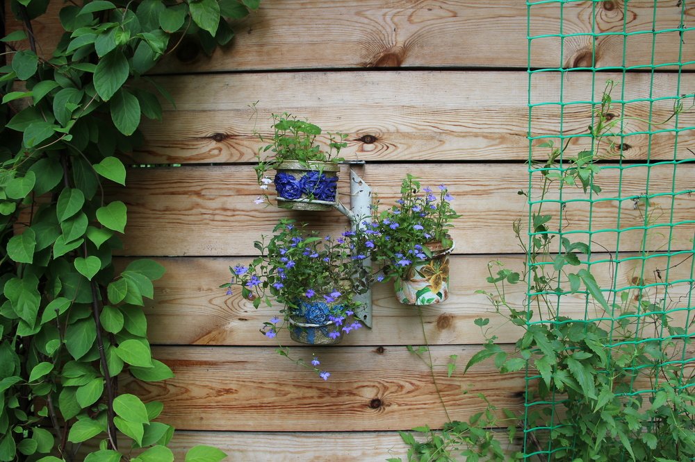 Photograph by Pavel Palkin