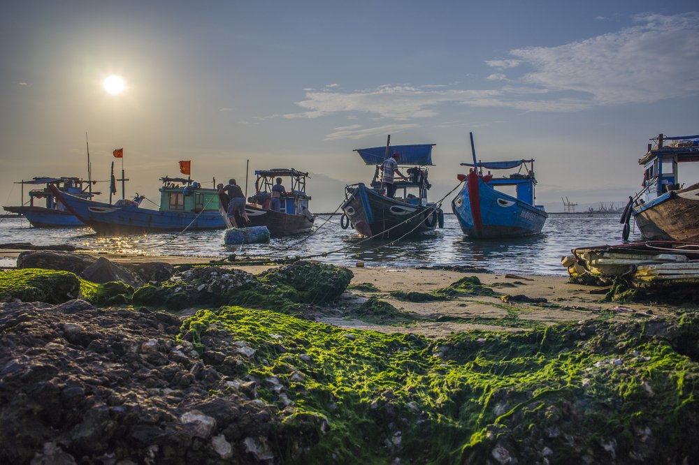 Photograph by Nguyen Hoang