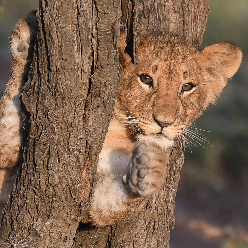 Photograph by Yuwaraj Gurjar