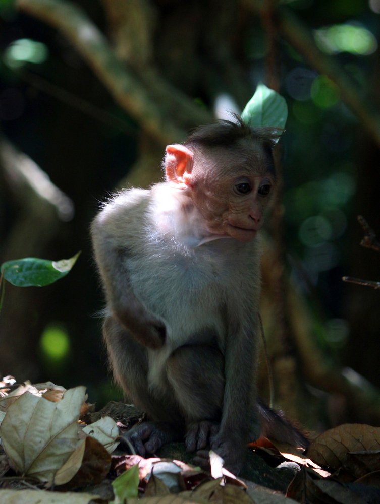 Photograph by Rijas Galleria