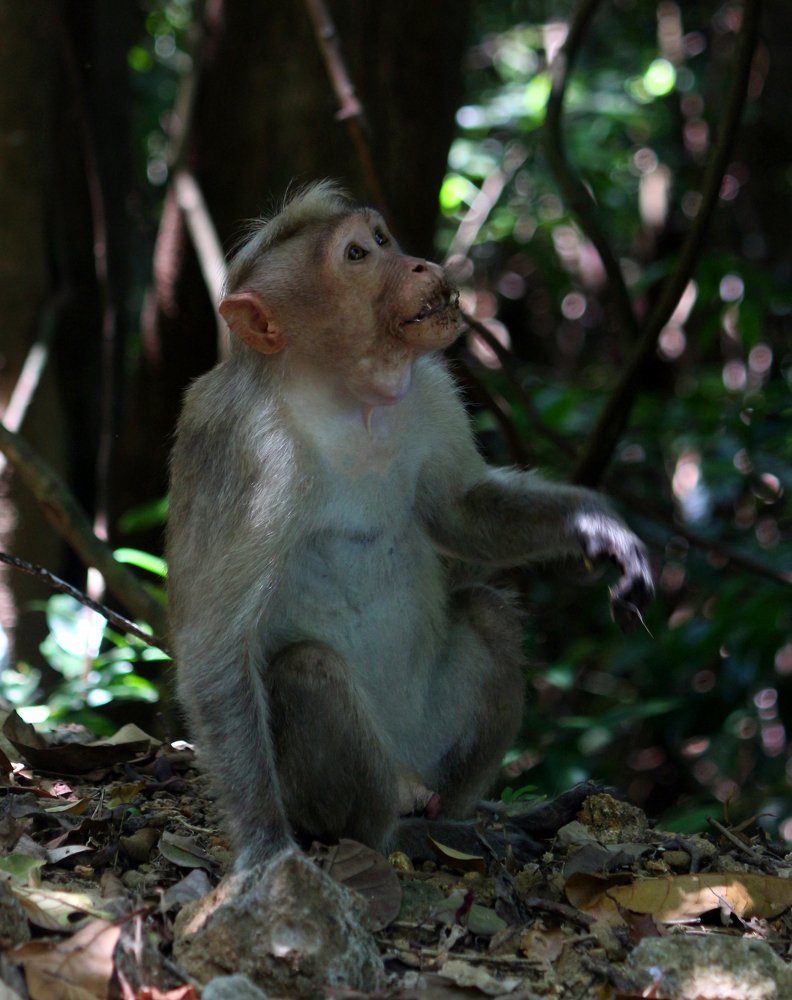 Photograph by Rijas Galleria