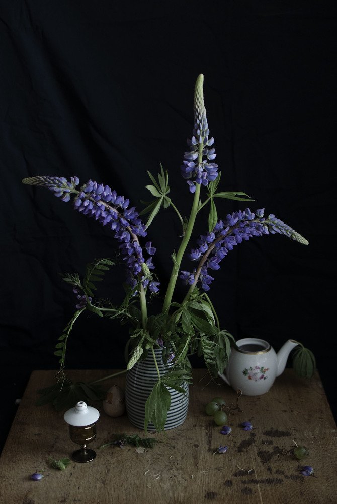 Photograph by Светлана Целикова