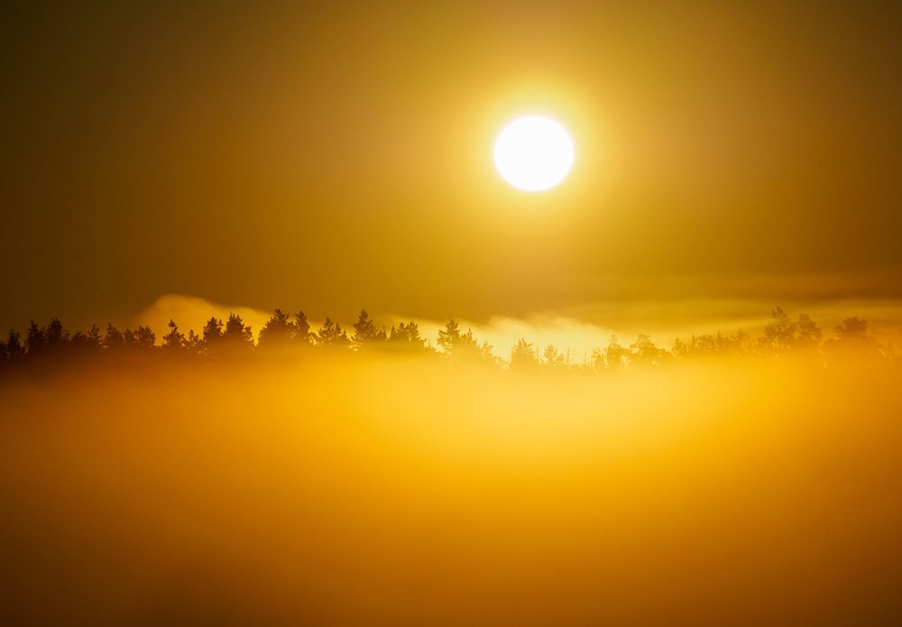 Photograph by Владимир Перепечаев