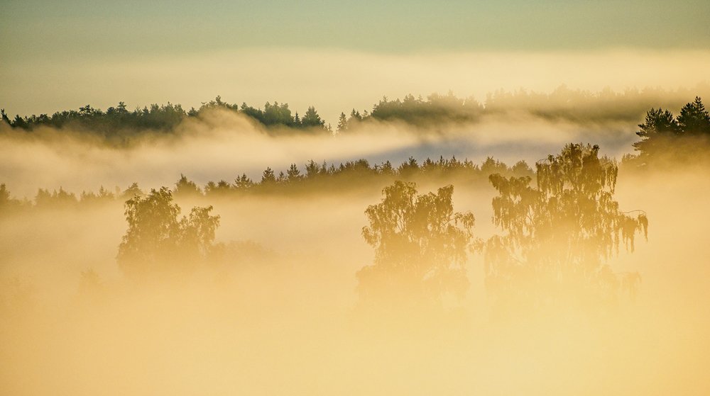 Photograph by Владимир Перепечаев