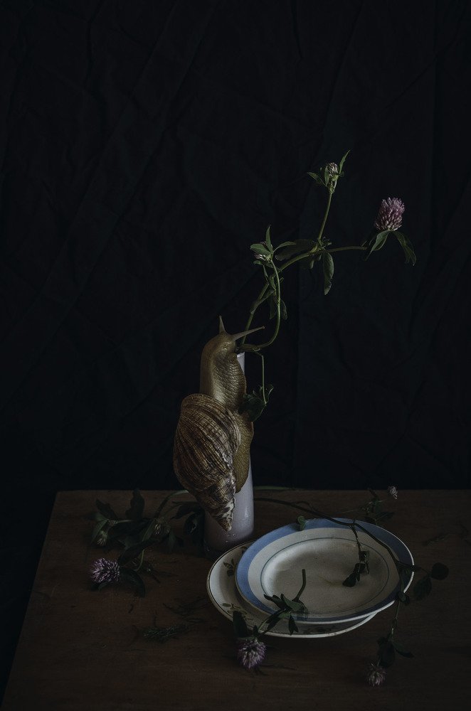 Photograph by Светлана Целикова