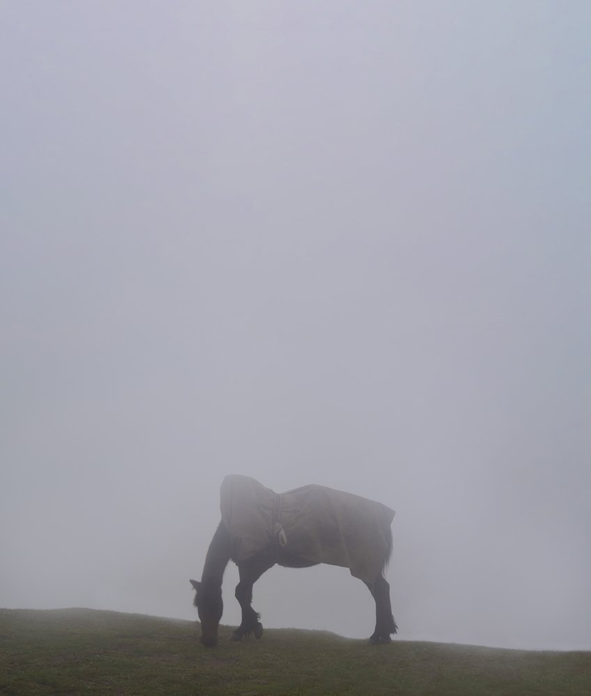 Photograph by  Farshid Karamipour