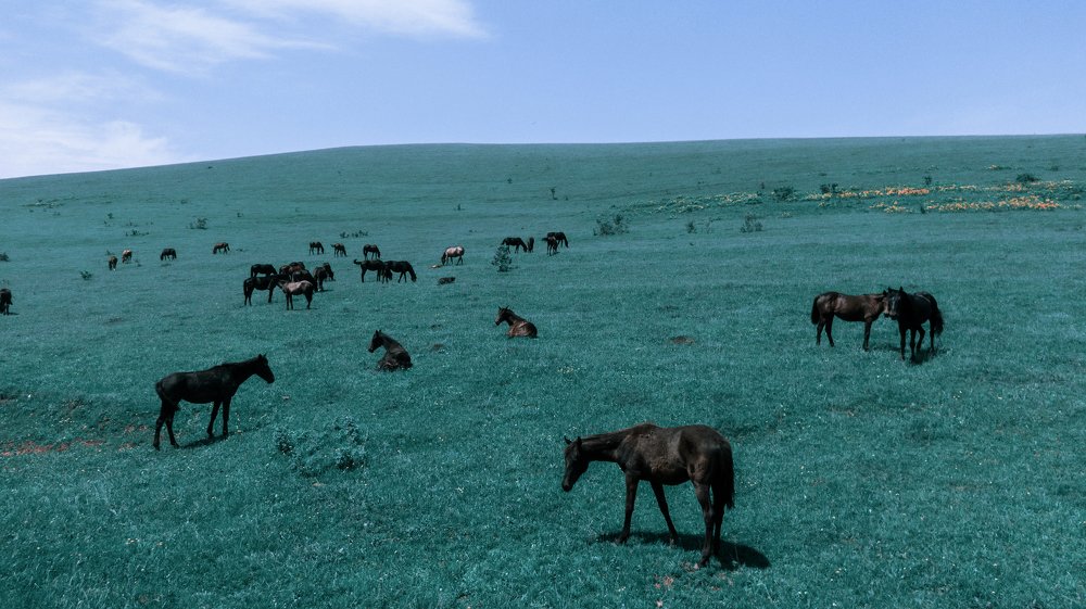 Photograph by Даша Елисеева