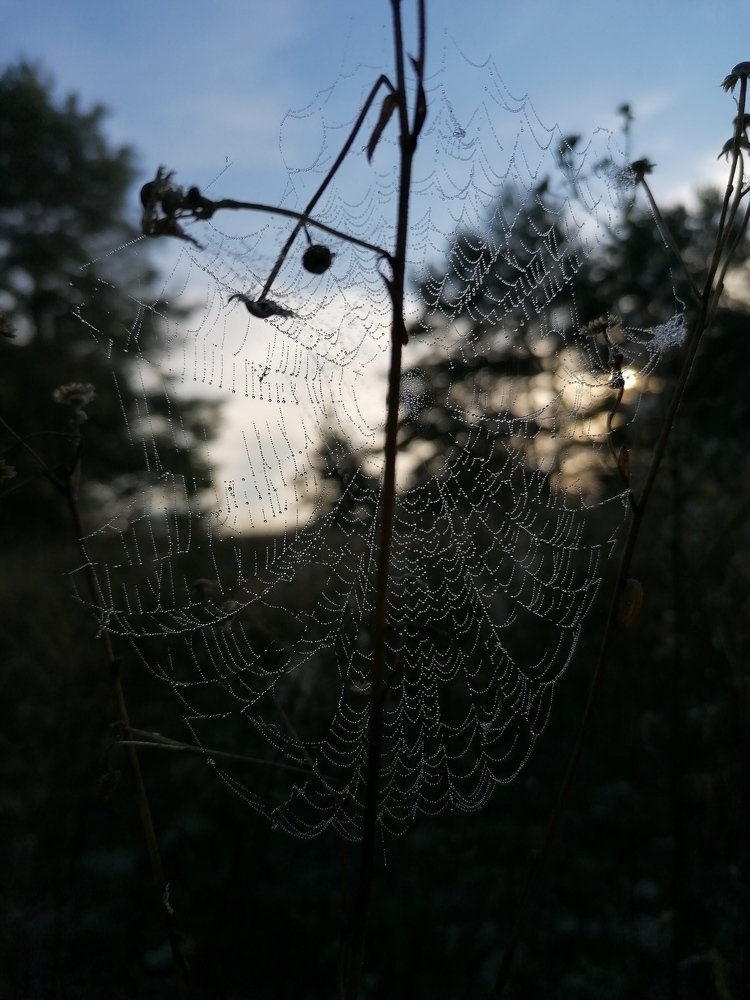 Photograph by Ксения Туваева