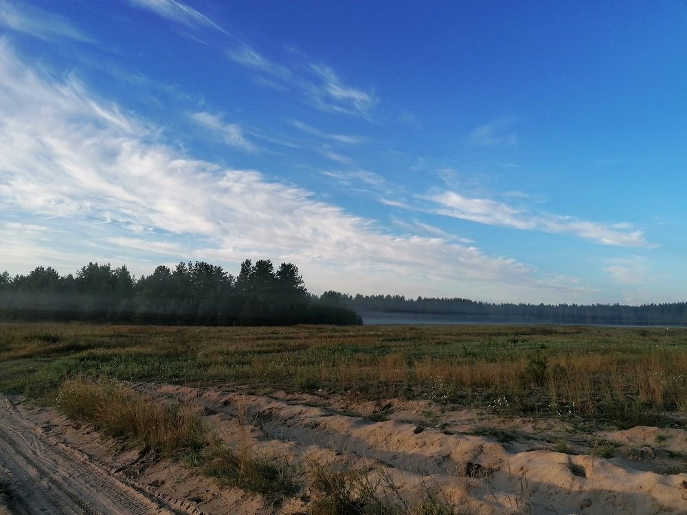 Photograph by Ксения Туваева