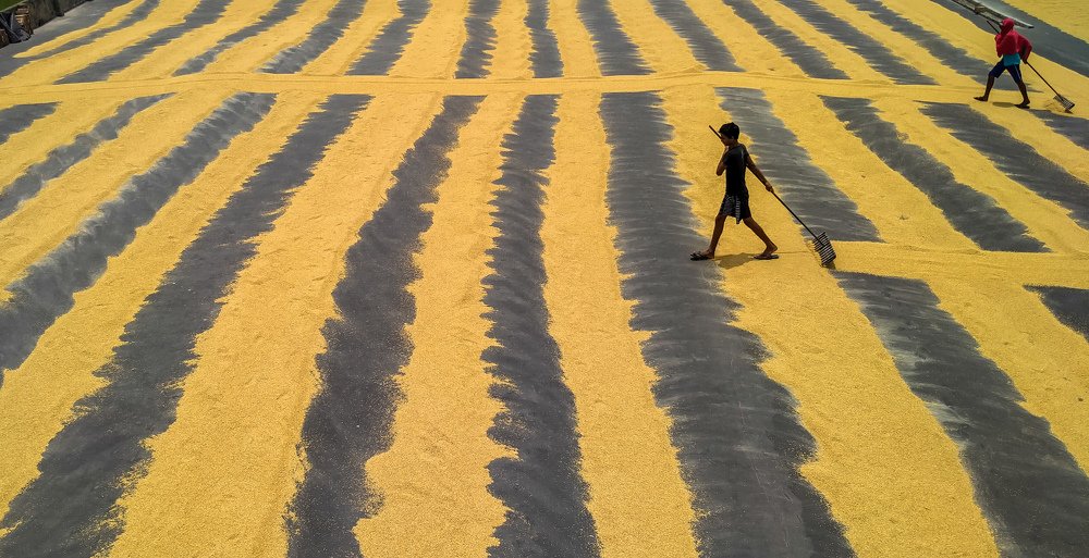 Photograph by SUBRATA DAS