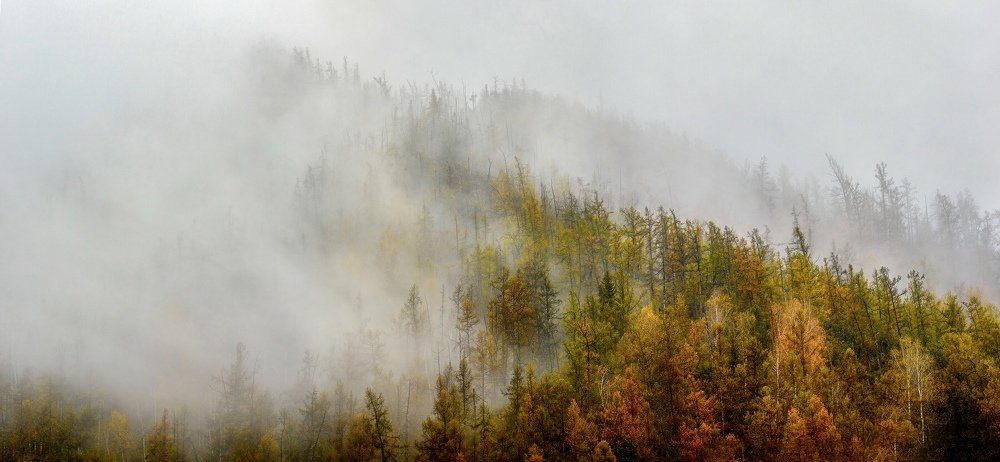 Photograph by Андрей Кузнецов