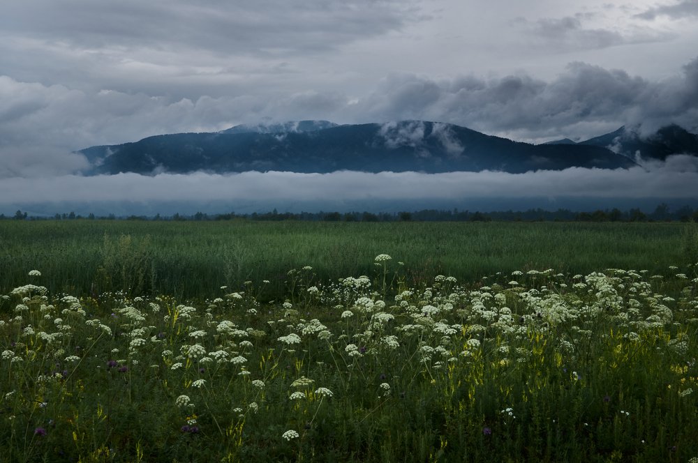 Photograph by Ирина Секачева