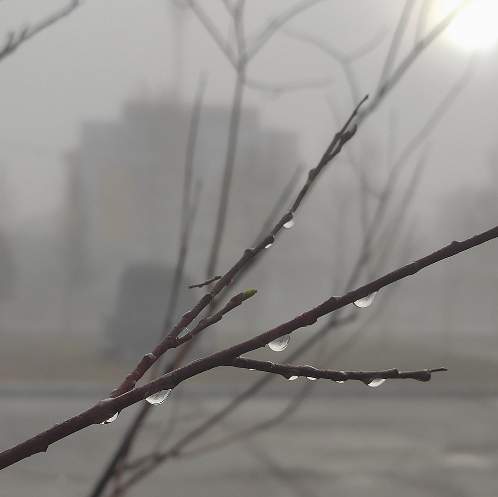 Photograph by Дарья