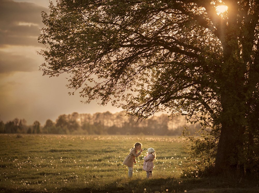 Photograph by Ольга Флер