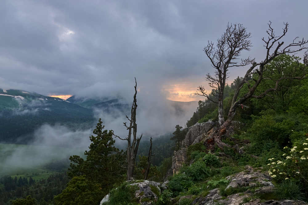 Photograph by Константин Шишкалов