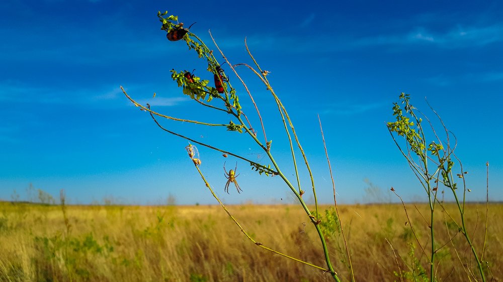Photograph by Вячеслав Пивоваров