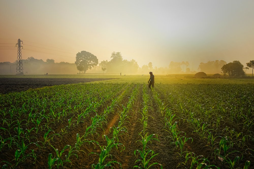 Photograph by Papiya Das