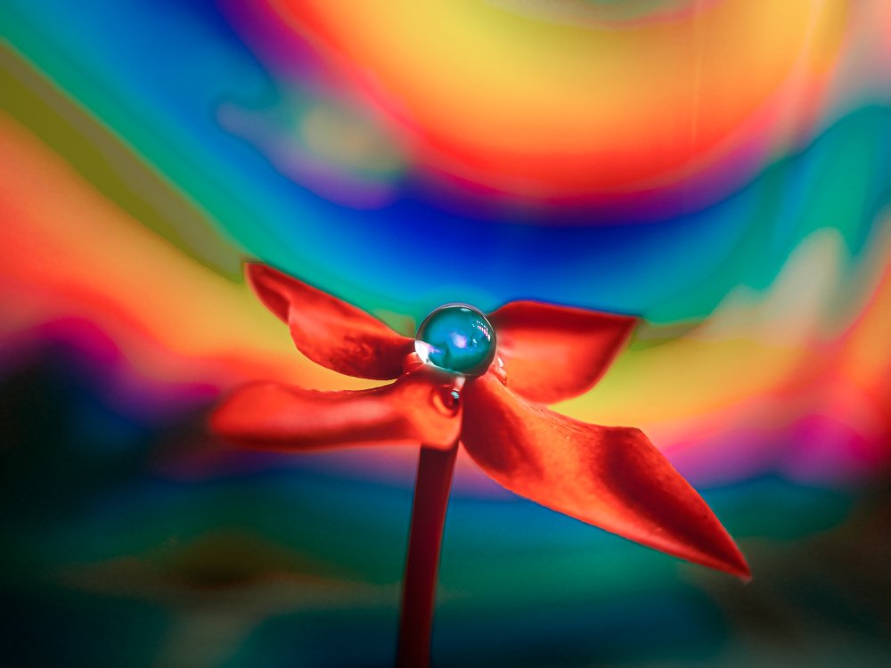 Photograph by Souvik Bhattacharyya