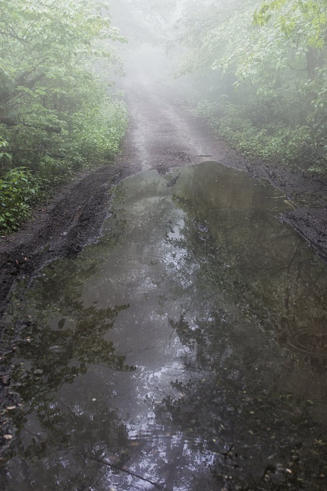 Photograph by Александр Подва