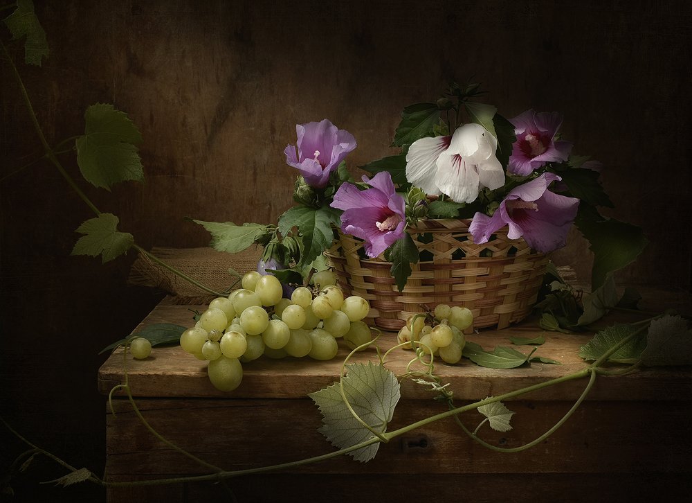 Photograph by Шипунова Ирина