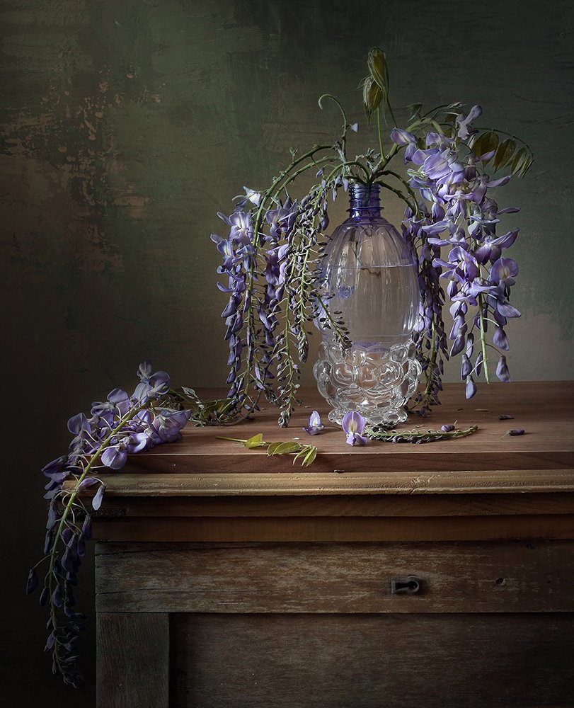 Photograph by Шипунова Ирина