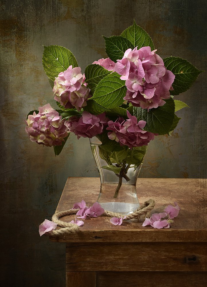 Photograph by Шипунова Ирина