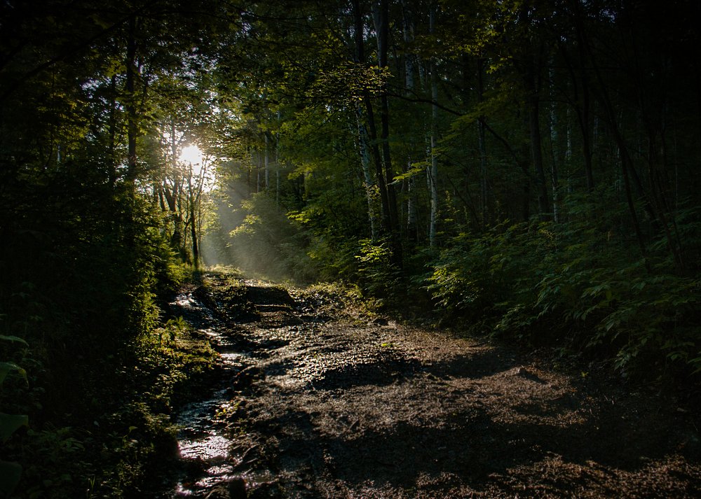 Photograph by Роман Смолко