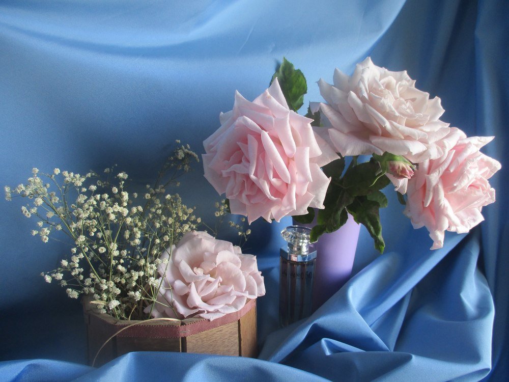 Photograph by Марина Яковлева
