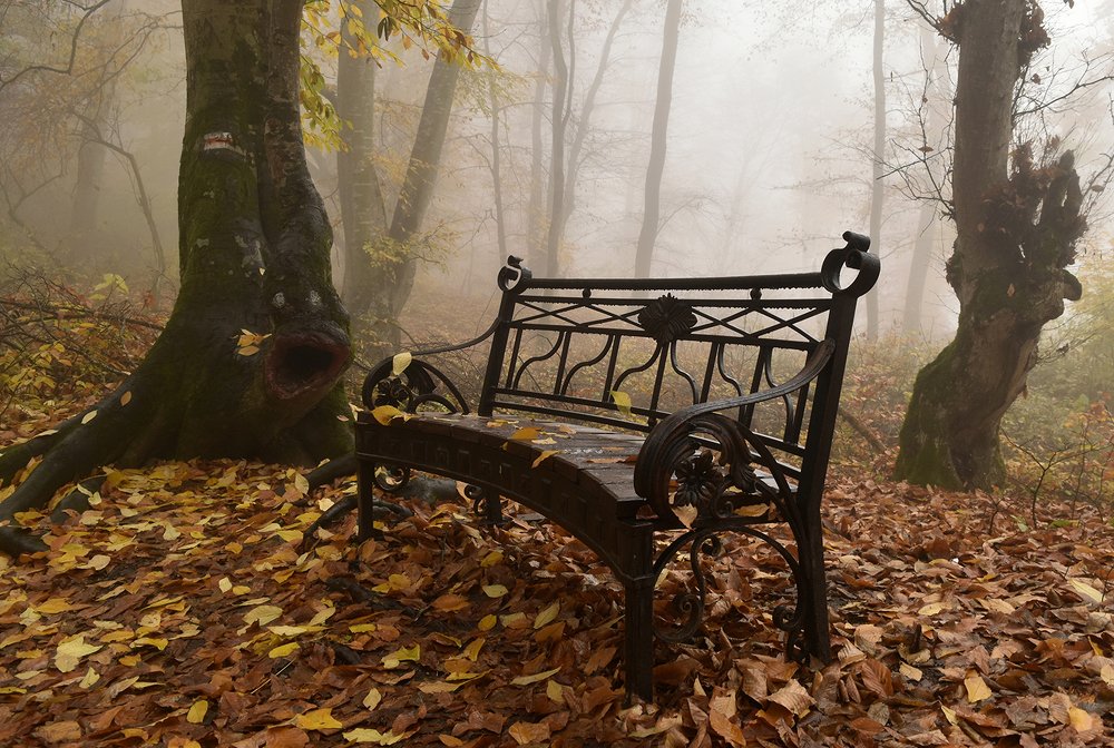 Фотография автора 