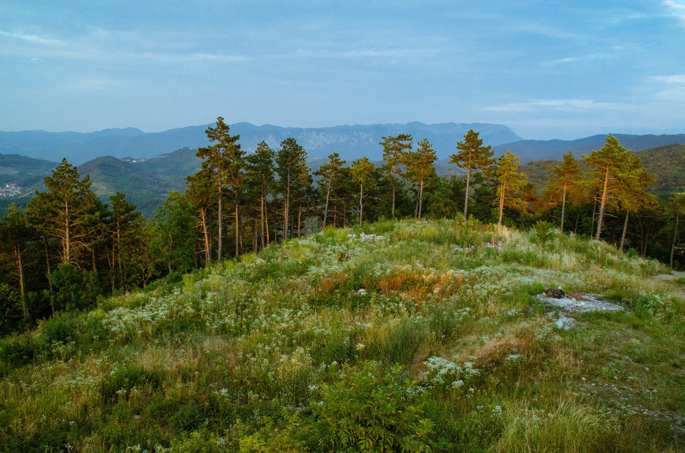 Photograph by Олег Смирнов