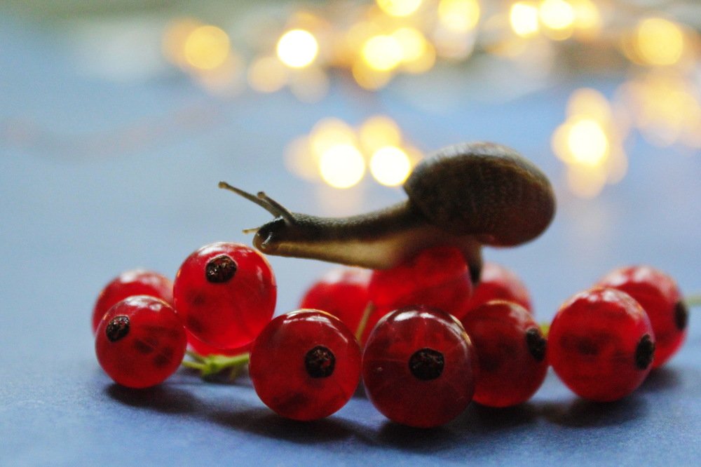 Photograph by Светлана Попкова