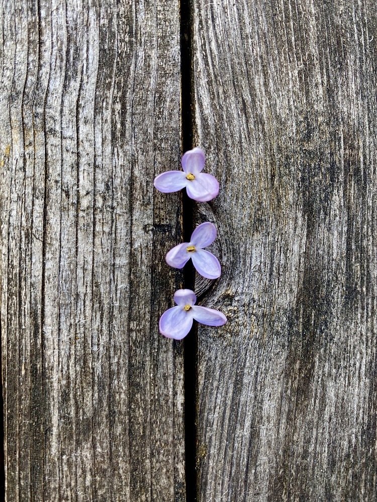 Photograph by Екатерина Мосунова