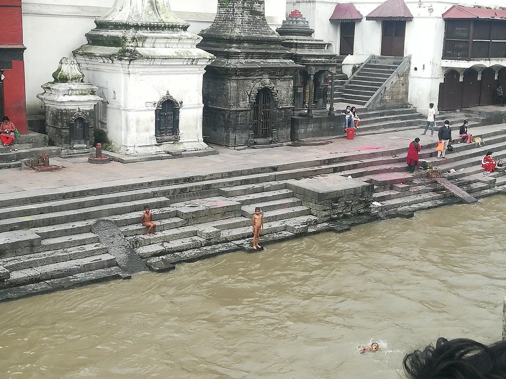 Photo #4838264