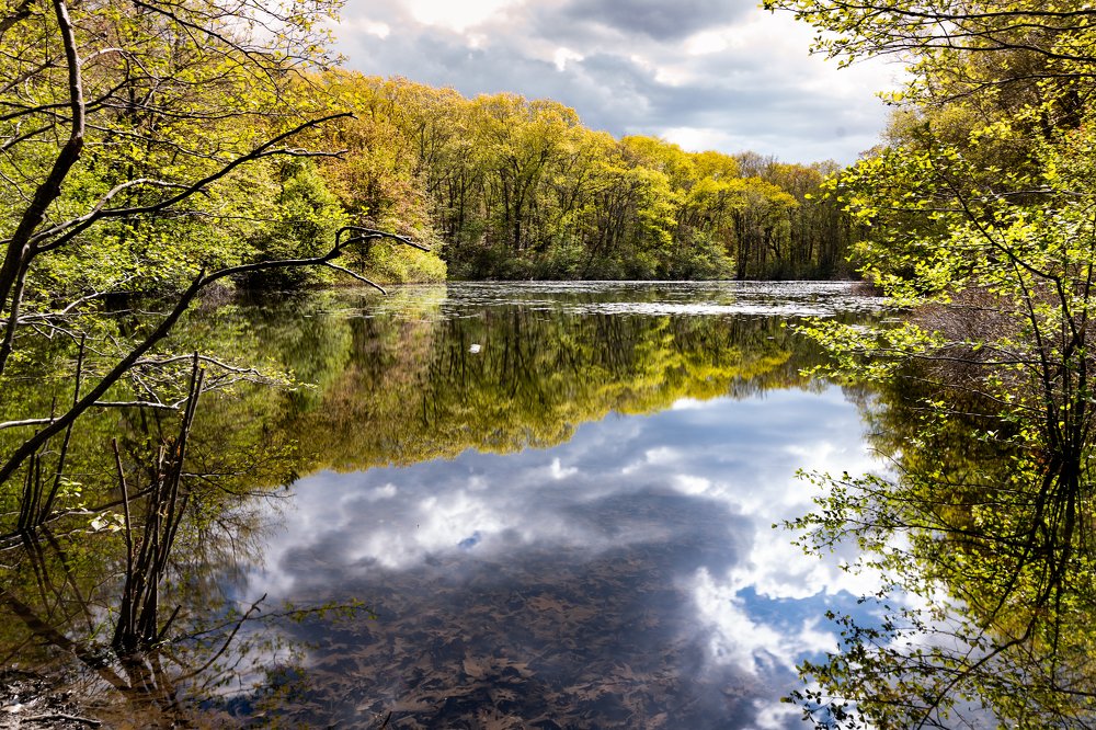Reflections on a lake