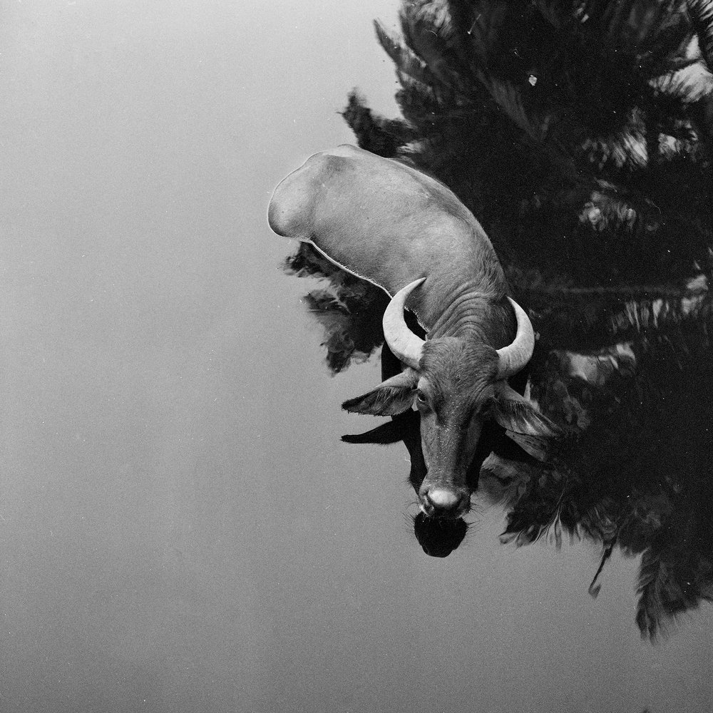 Photograph by Артём Барышев